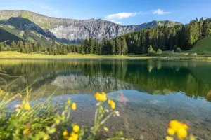 Lac de montagne